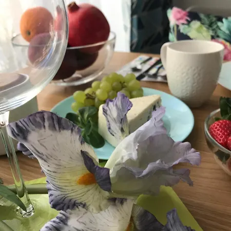 Przytulne Mieszkanie Apartament *